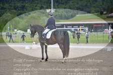 ref. photo 3148630