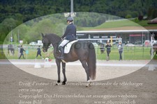 ref. photo 3148631