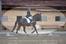 ref. photo 3148651