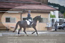 ref. photo 3148652