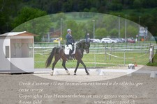 ref. photo 3148661