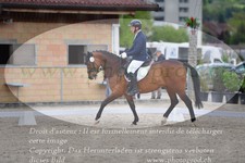 ref. photo 3148705