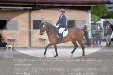 ref. photo 3148706
