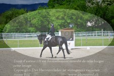 ref. photo 3148733