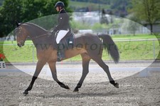 ref. photo 3148780