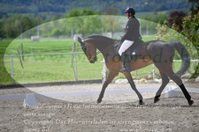 ref. photo 3148783
