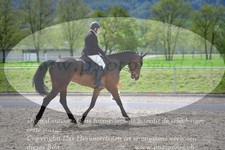 ref. photo 3148797