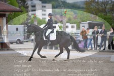 ref. photo 3148864