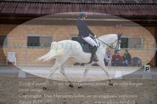 ref. photo 3148905