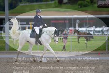 ref. photo 3148912