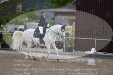 ref. photo 3148917