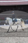ref. photo 3148941