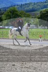 ref. photo 3148952