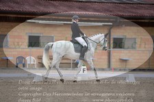 ref. photo 3148972