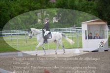 ref. photo 3148976