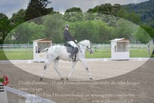 ref. photo 3148977