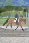 ref. photo 3149006