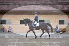 ref. photo 3149015