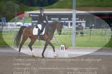 ref. photo 3149042