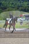 ref. photo 3149053