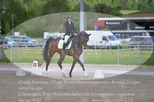 ref. photo 3149067