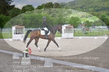 ref. photo 3149070