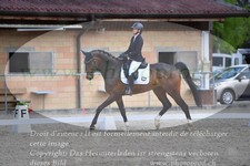 ref. photo 3149071