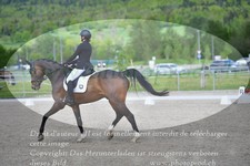 ref. photo 3149076