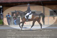 ref. photo 3149081