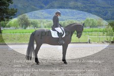 ref. photo 3149104