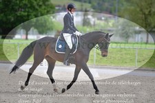 ref. photo 3149112