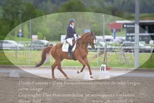 ref. photo 3149152