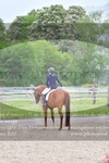 ref. photo 3149157