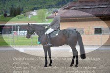 ref. photo 3149162