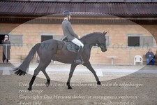 ref. photo 3149168