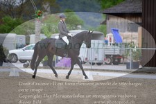 ref. photo 3149169