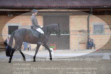 ref. photo 3149172