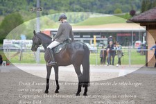 ref. photo 3149190