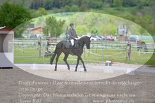 ref. photo 3149191
