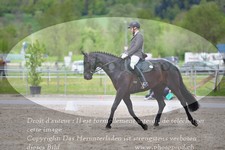 ref. photo 3149193