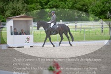 ref. photo 3149194