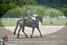 ref. photo 3149196