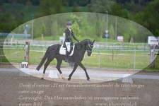 ref. photo 3149207
