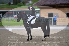 ref. photo 3149208
