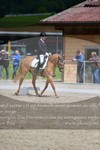 ref. photo 3149246