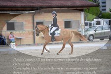 ref. photo 3149259
