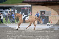 ref. photo 3149263