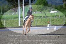 ref. photo 3149272