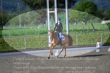 ref. photo 3149273