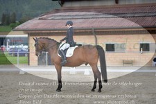 ref. photo 3149299